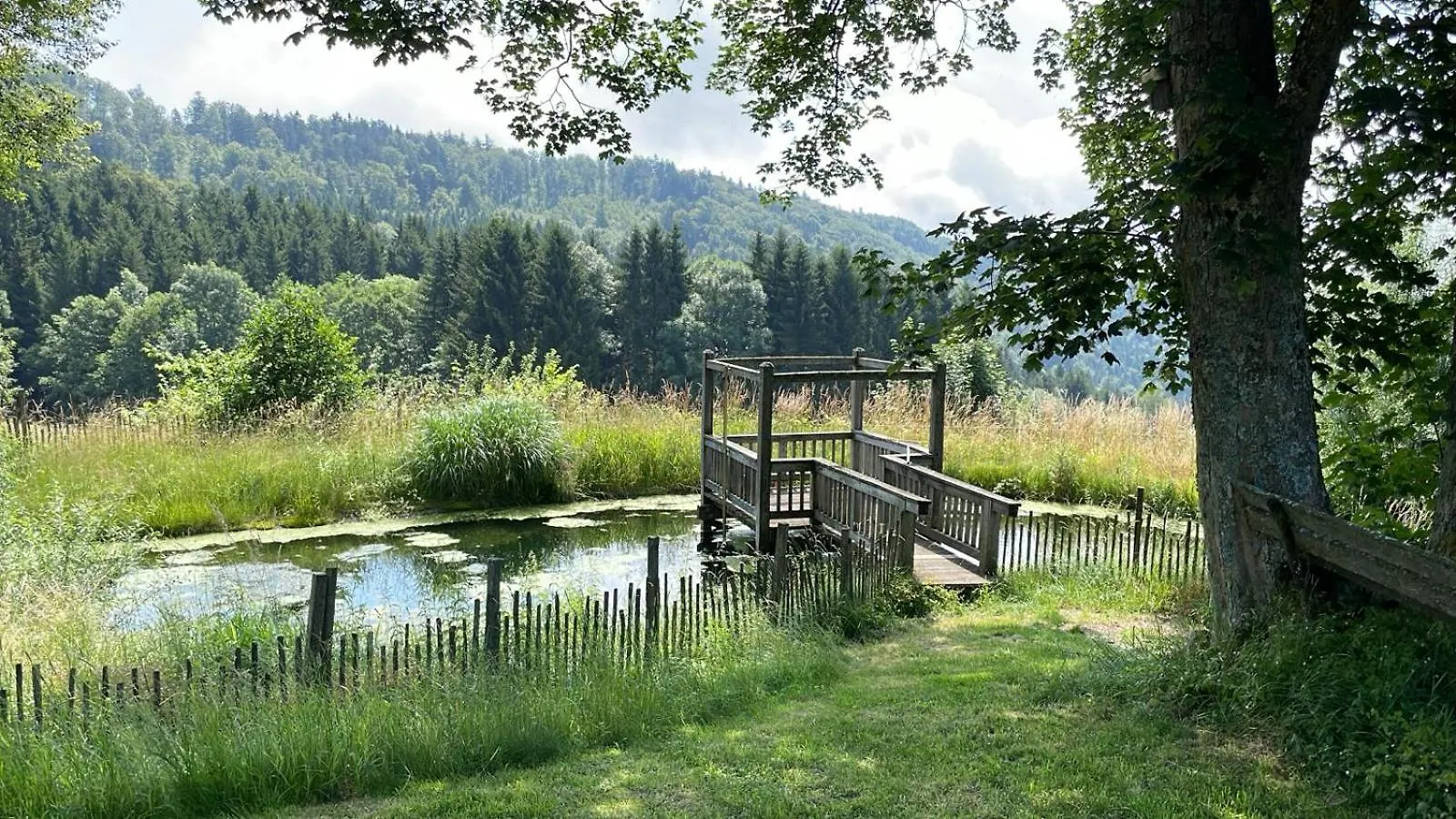 アパート Roggenstadl Am Grandsberg シュヴァルツァハ